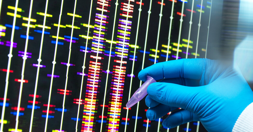 خدمة تحليل السمنة الجينية